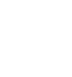 checklist-icon_white checklist-icon_white